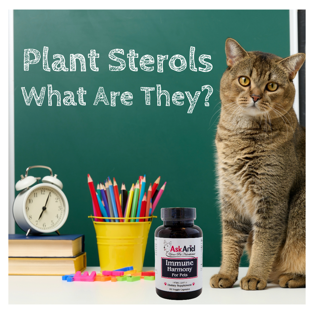 Immune Harmony Beta Sitosterol For Dogs & Cats
